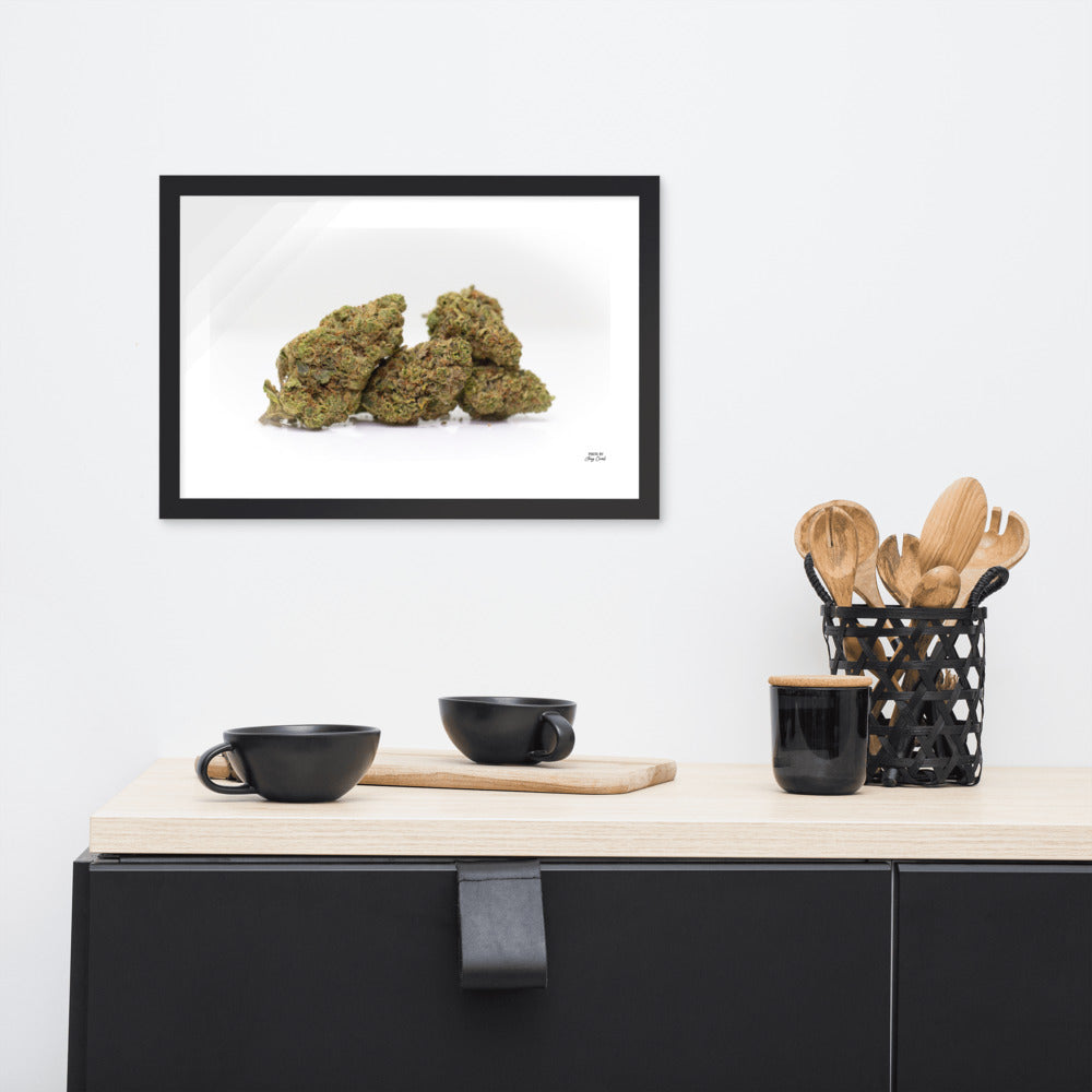 G-Nana by Joey Creel Framed photo paper poster