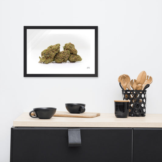 G-Nana by Joey Creel Framed photo paper poster